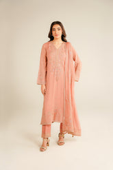 3 Piece Chiffon Embroidered Suit (FL0033)